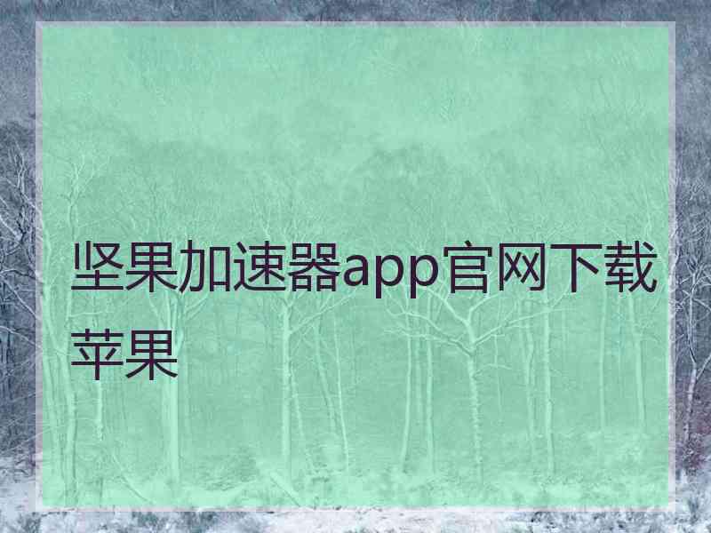 坚果加速器app官网下载苹果