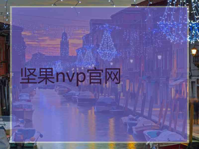 坚果nvp官网