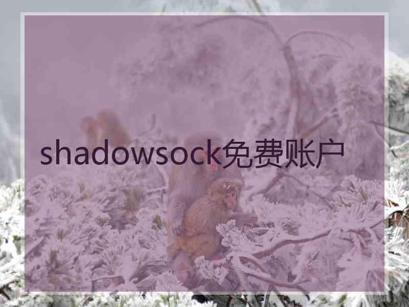 shadowsock免费账户