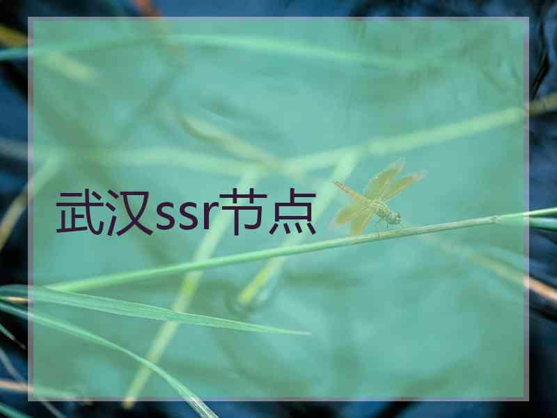 武汉ssr节点