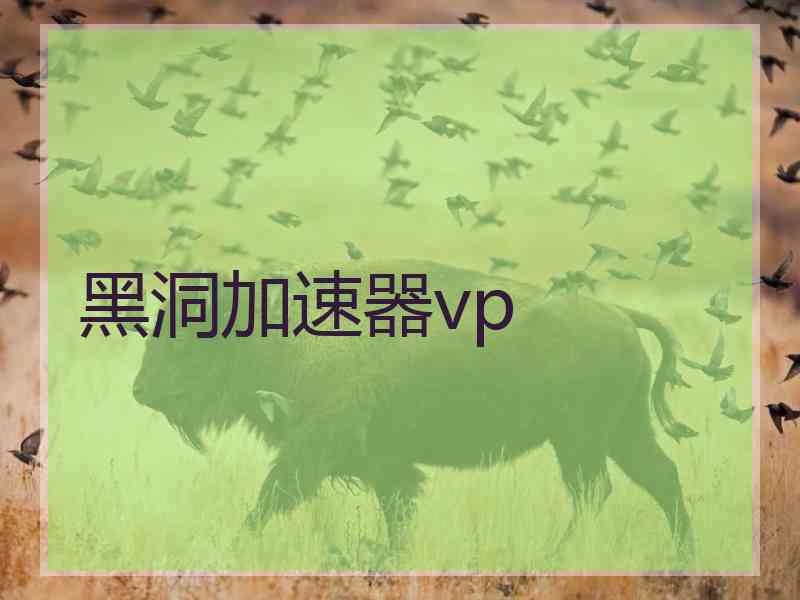 黑洞加速器vp