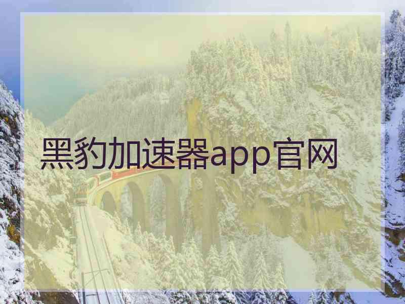 黑豹加速器app官网