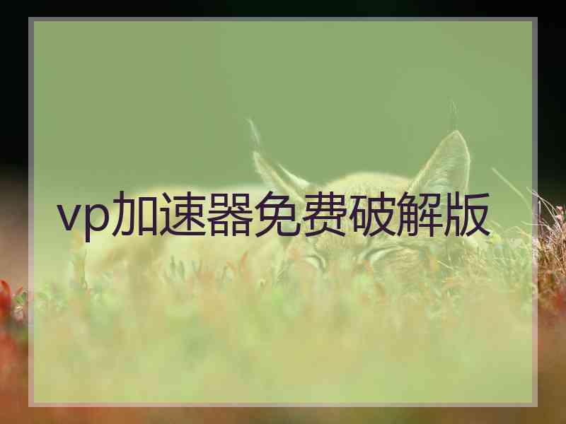 vp加速器免费破解版