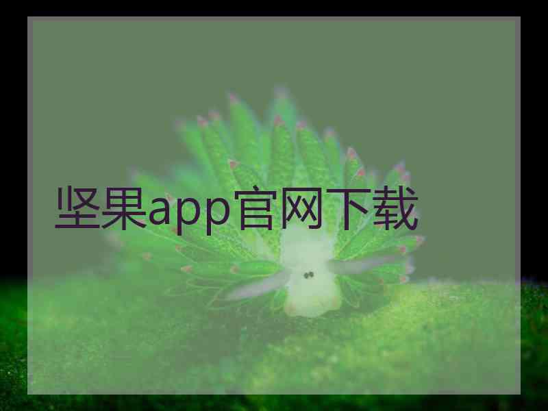 坚果app官网下载