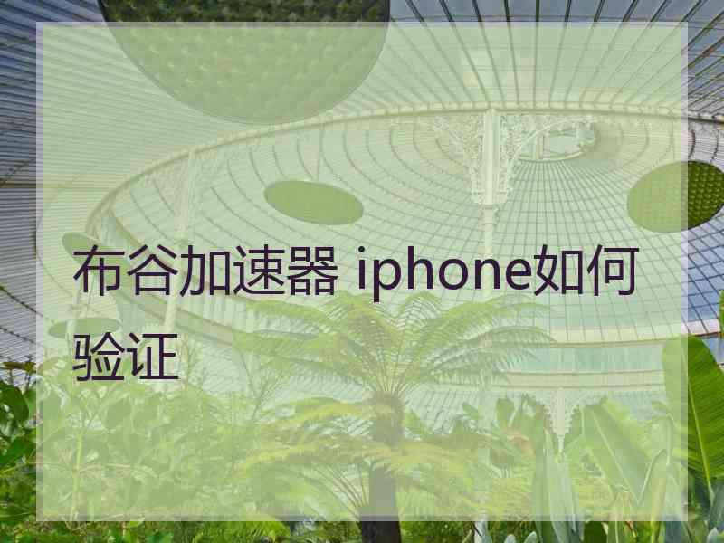 布谷加速器 iphone如何验证