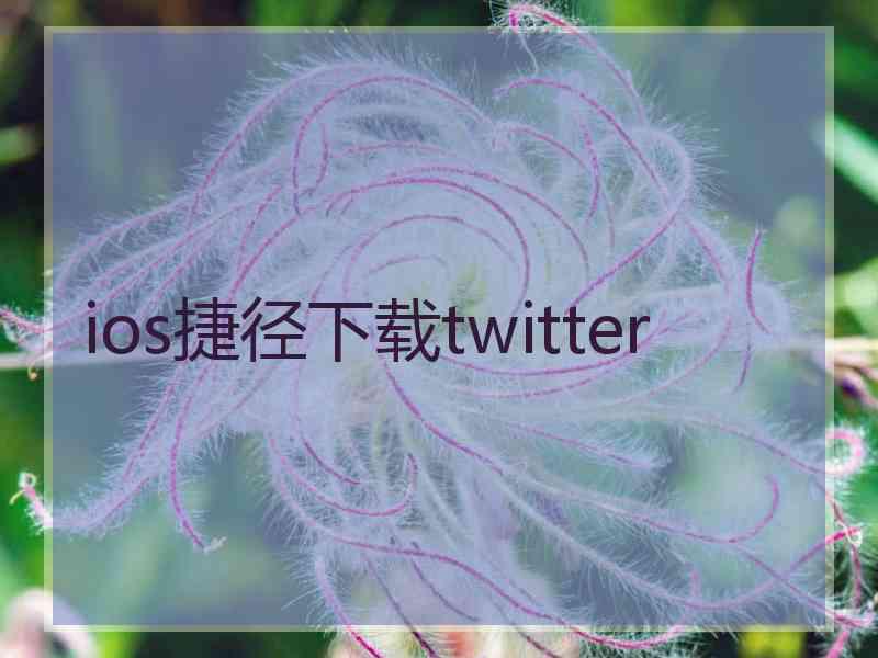 ios捷径下载twitter