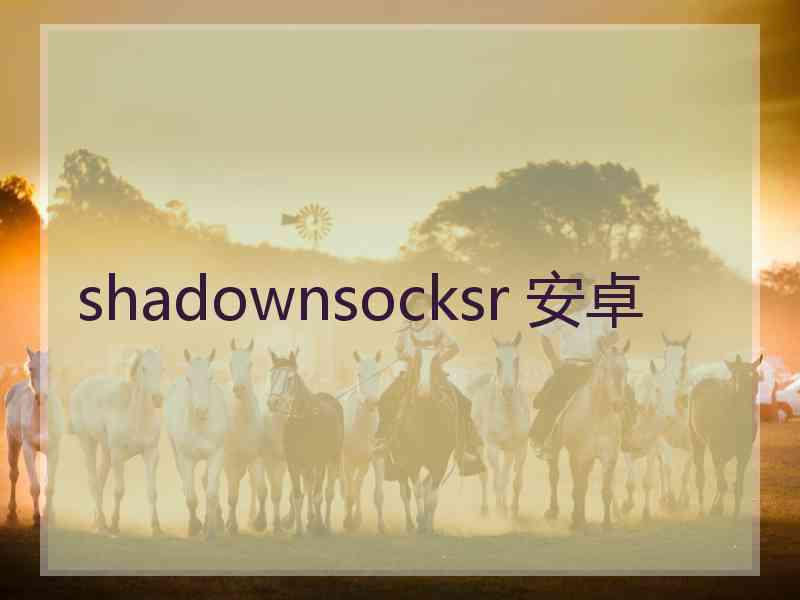 shadownsocksr 安卓