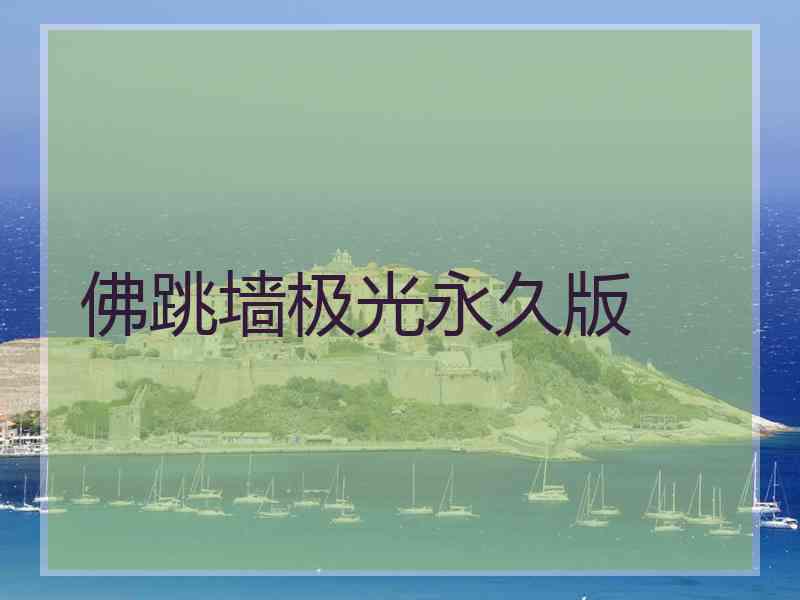 佛跳墙极光永久版