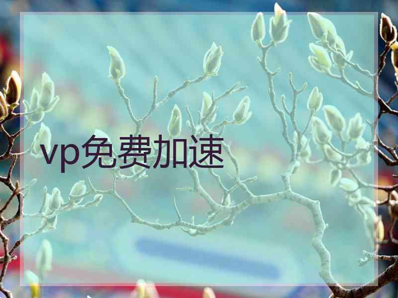 vp免费加速