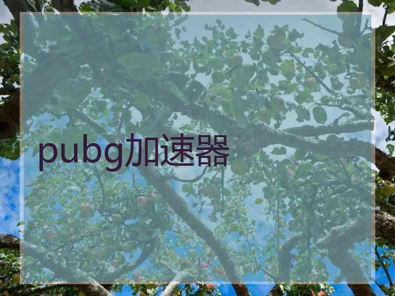 pubg加速器