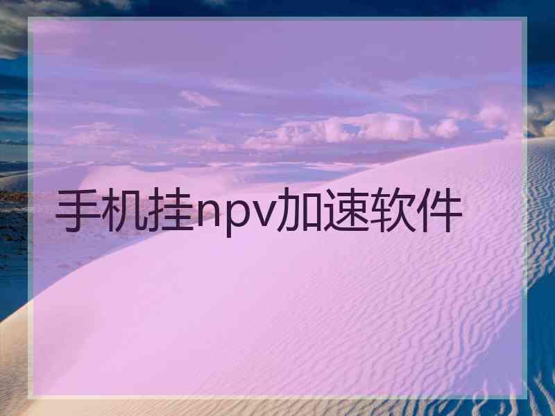 手机挂npv加速软件