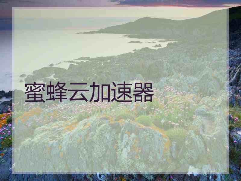 蜜蜂云加速器