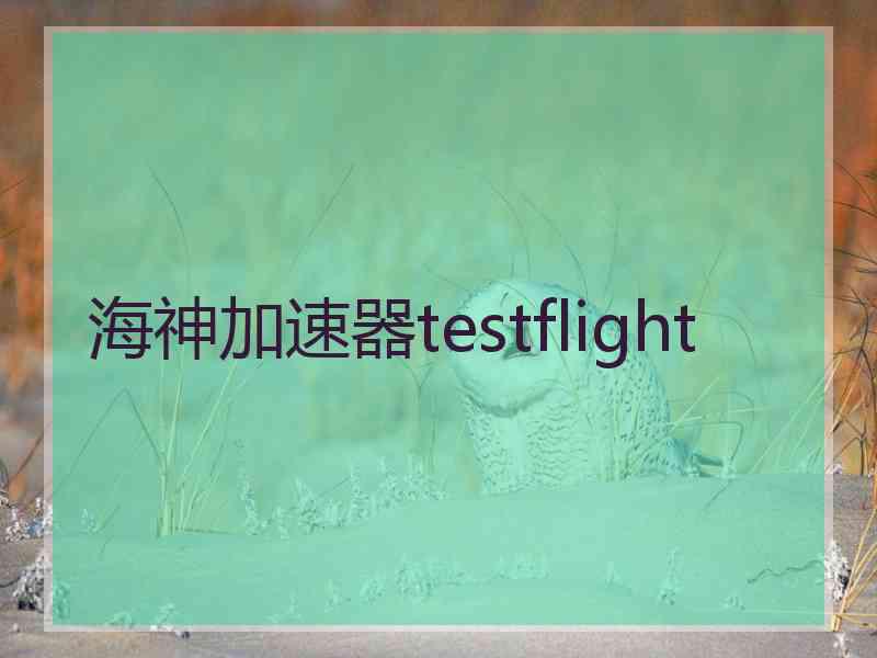 海神加速器testflight