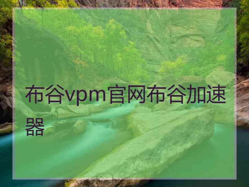 布谷vpm官网布谷加速器