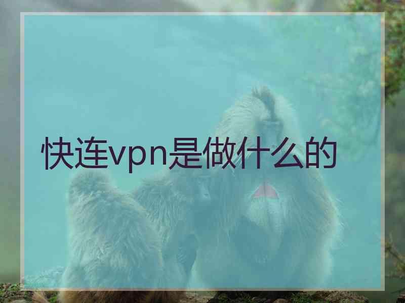 快连vpn是做什么的