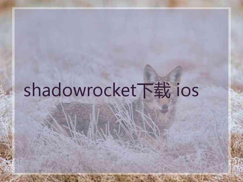 shadowrocket下载 ios