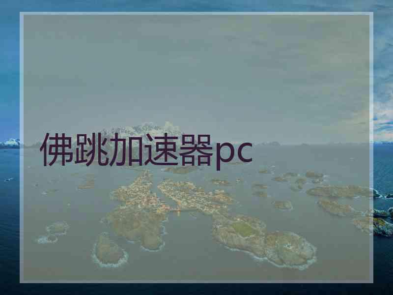 佛跳加速器pc