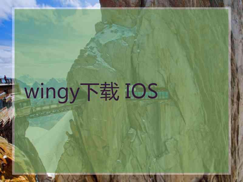 wingy下载 IOS