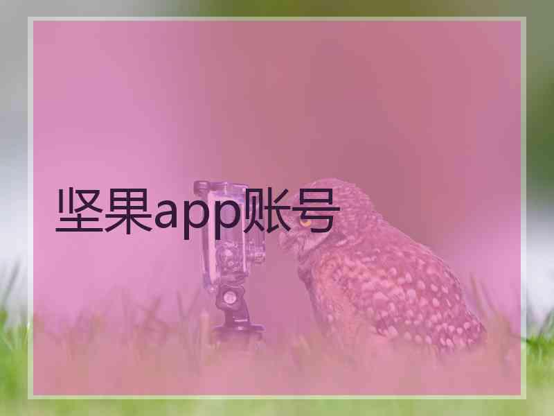 坚果app账号