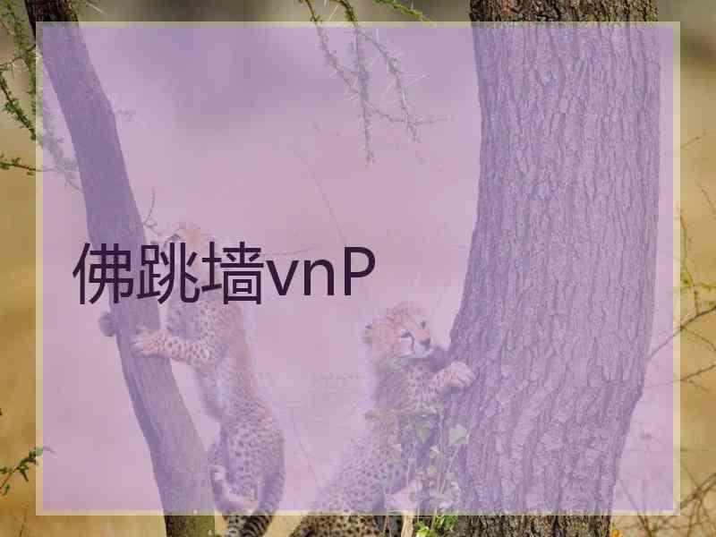 佛跳墙vnP