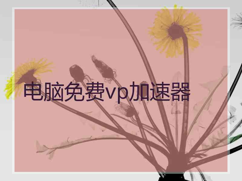 电脑免费vp加速器