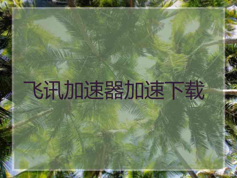 飞讯加速器加速下载