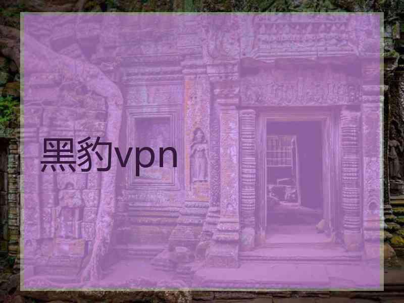 黑豹vpn