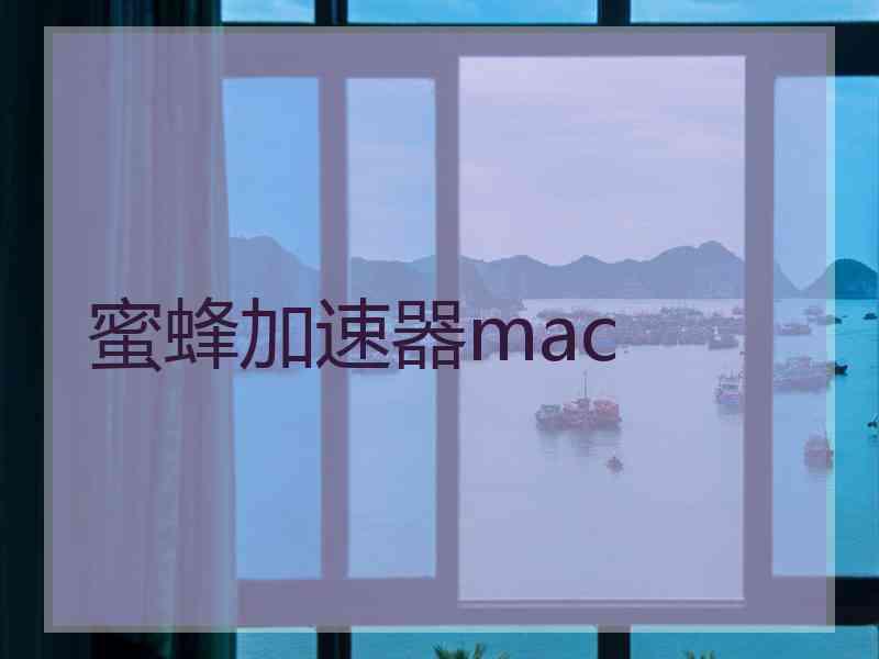 蜜蜂加速器mac