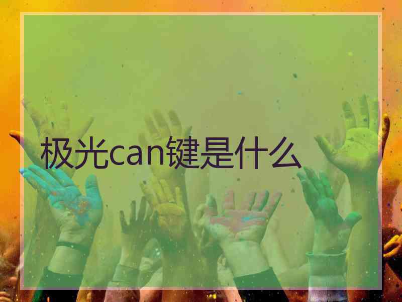 极光can键是什么