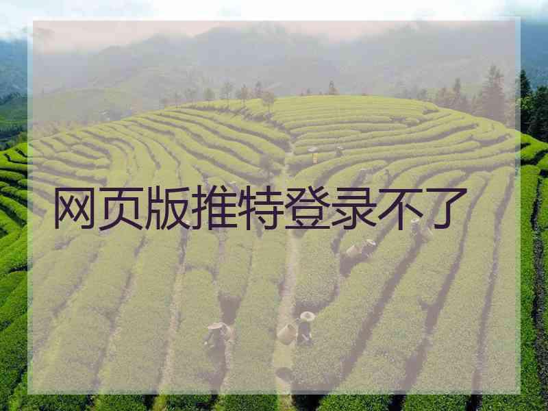 网页版推特登录不了