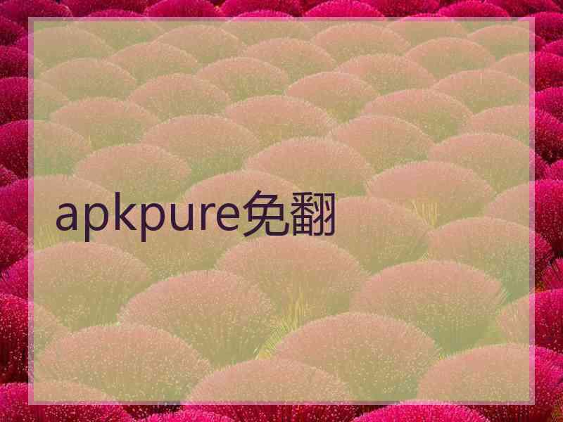 apkpure免翻