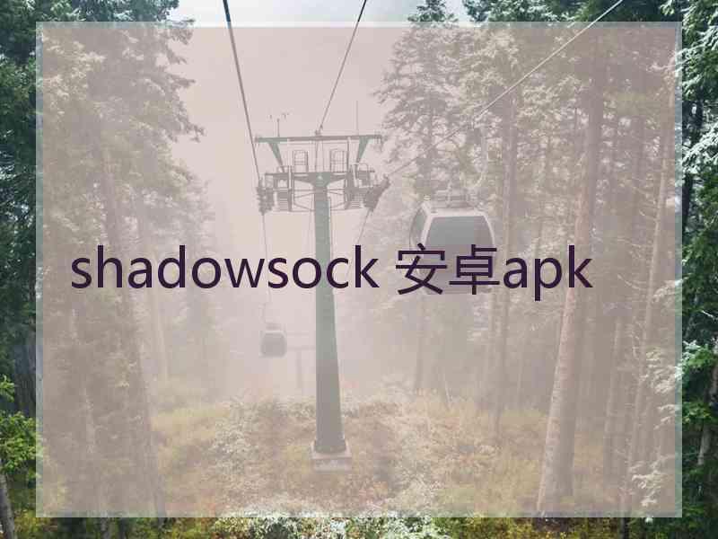 shadowsock 安卓apk