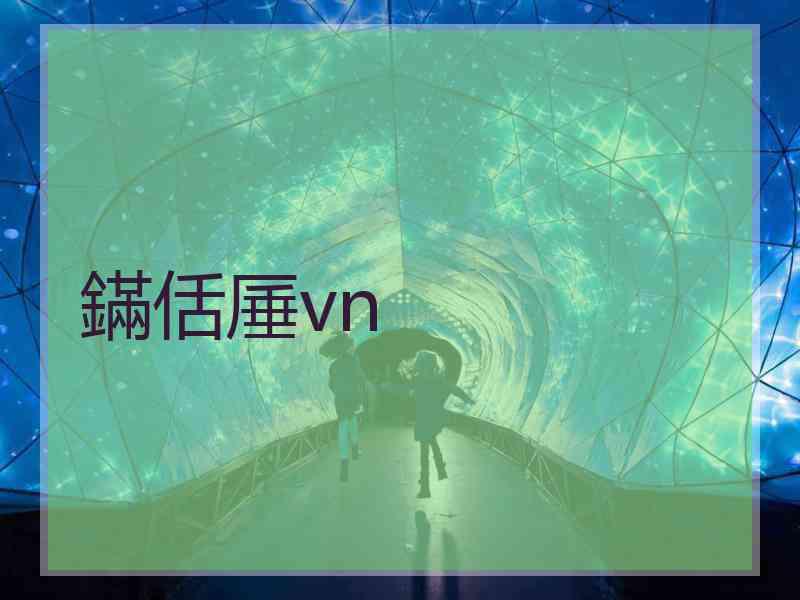 鏋佸厜vn