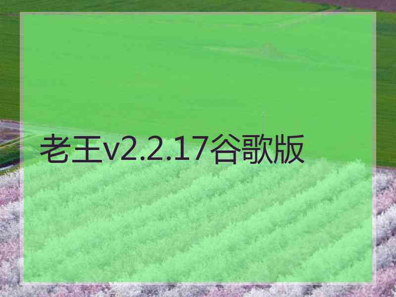 老王v2.2.17谷歌版