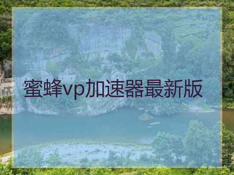 蜜蜂vp加速器最新版