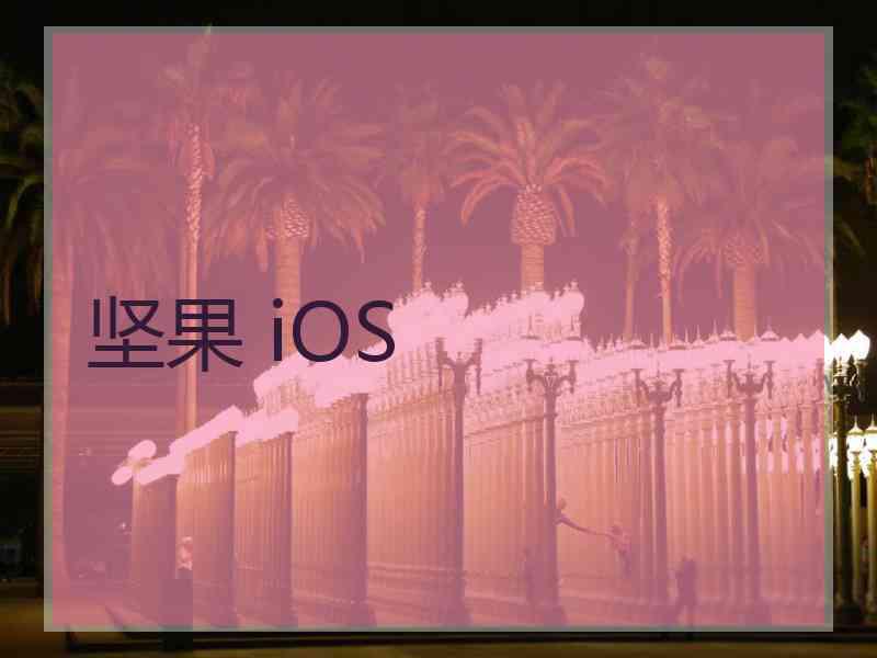 坚果 iOS