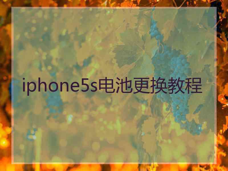 iphone5s电池更换教程