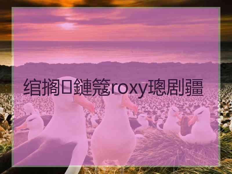 绾搁鏈簆roxy璁剧疆