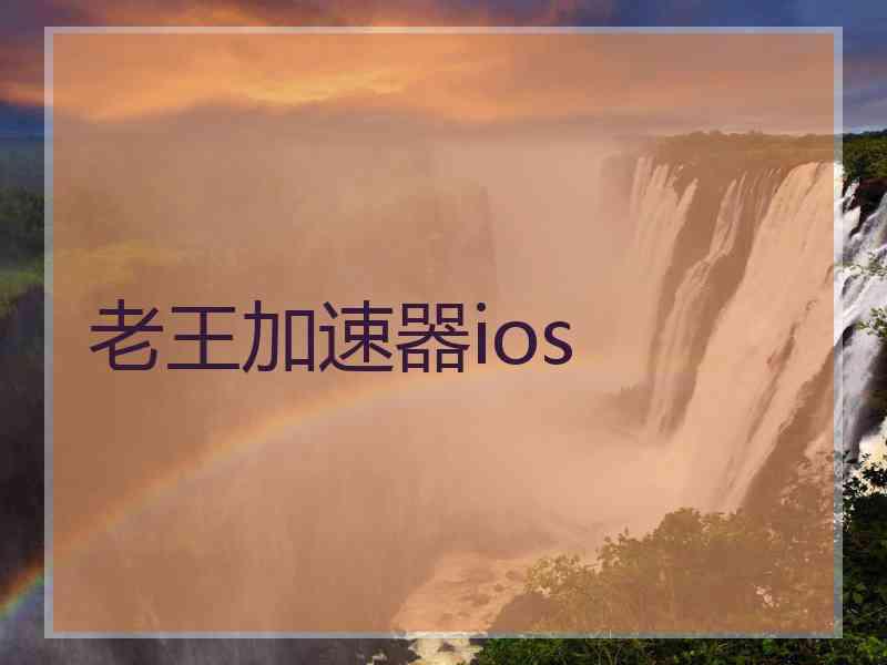 老王加速器ios