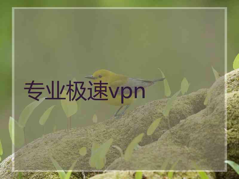 专业极速vpn