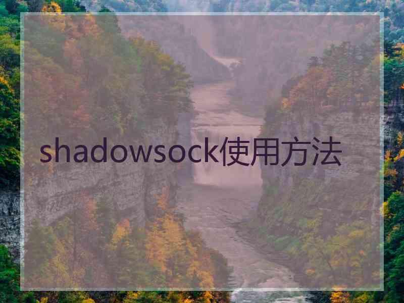 shadowsock使用方法