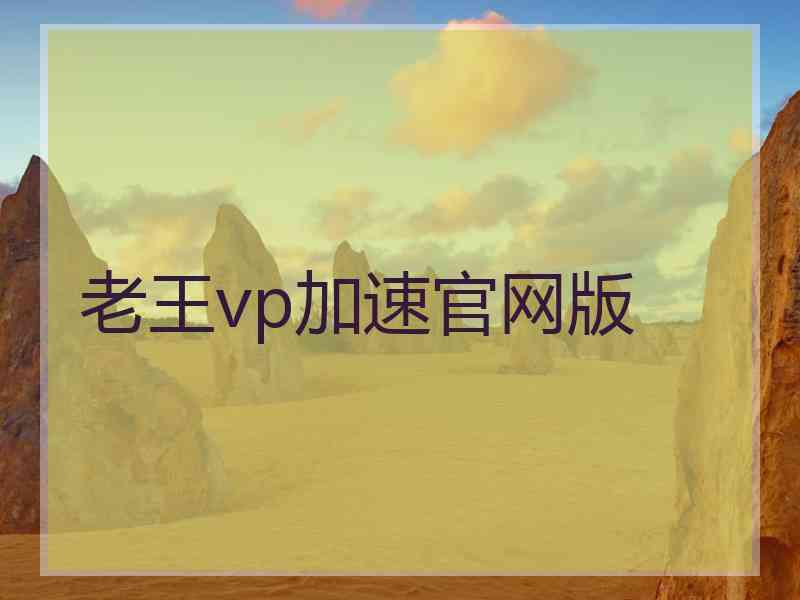 老王vp加速官网版