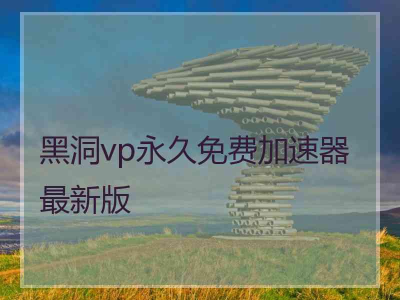 黑洞vp永久免费加速器最新版