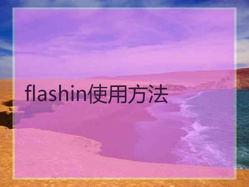 flashin使用方法