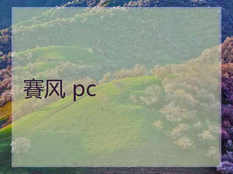 賽风 pc