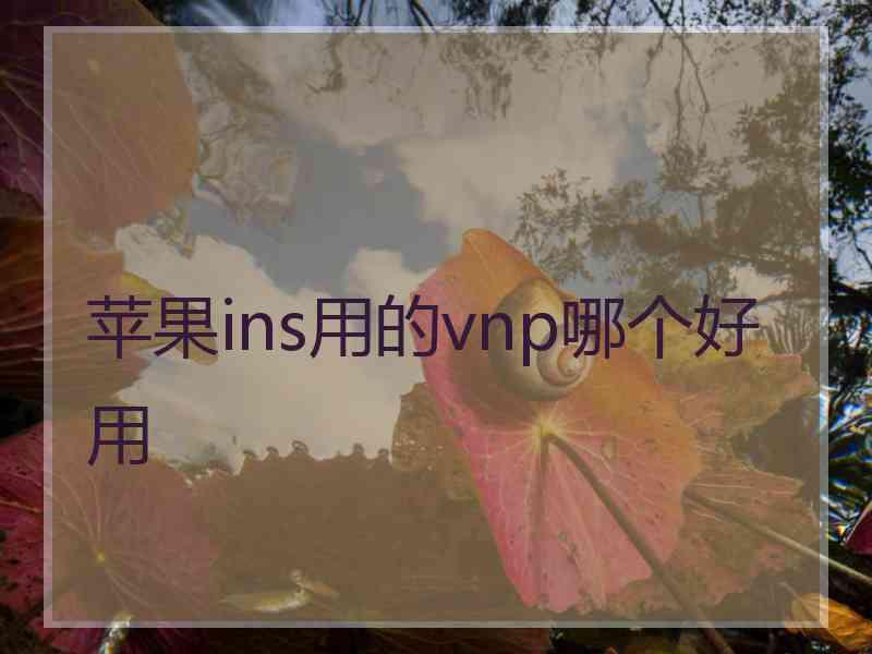 苹果ins用的vnp哪个好用