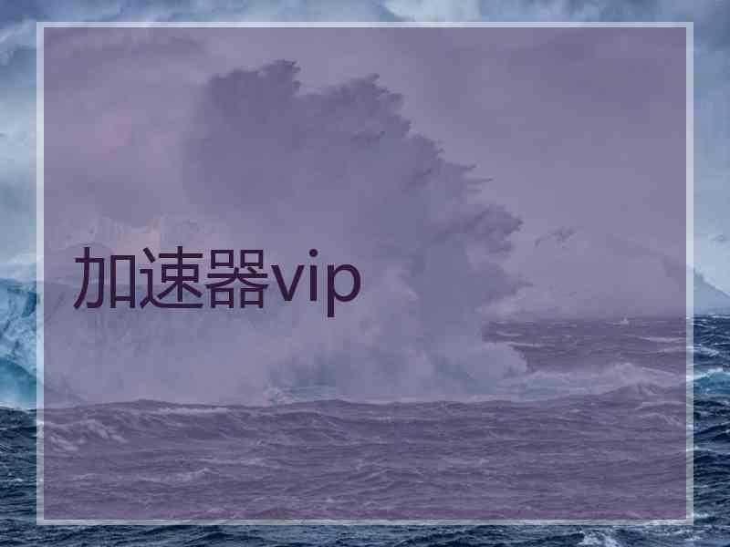 加速器vip