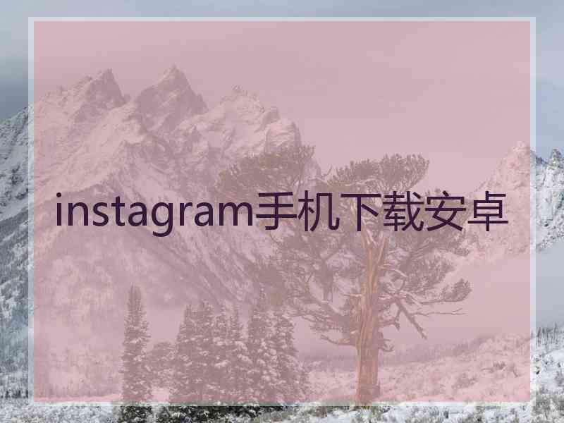 instagram手机下载安卓