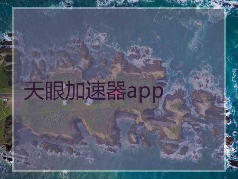 天眼加速器app