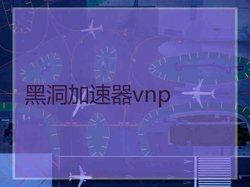 黑洞加速器vnp